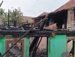 Diduga Korsleting Listrik, Panglong Terbakar Alami Kerugian Rp 200 Juta